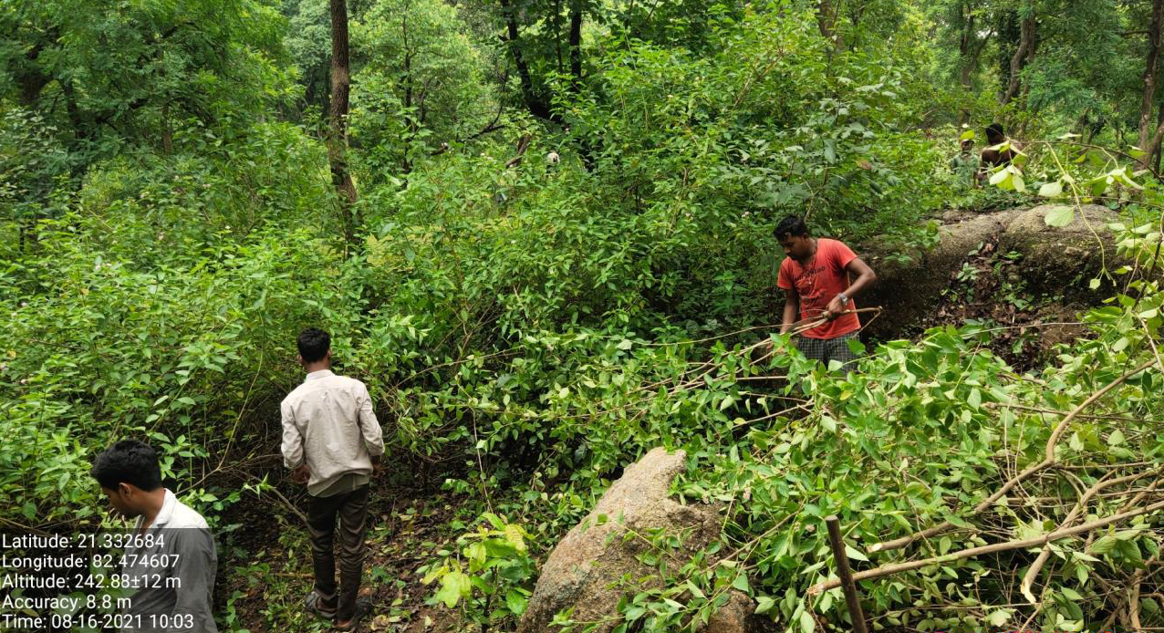 बारनवापारा अभ्यारण्य को मिला नया स्वरूप