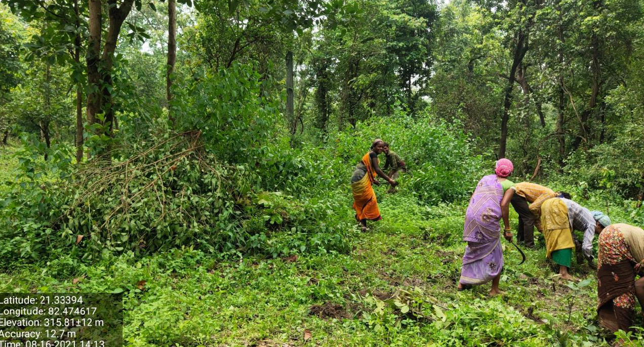 बारनवापारा अभ्यारण्य को मिला नया स्वरूप
